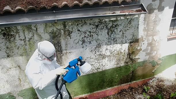 Trusted Mold Inspection service in Charlestown, MD - Cheap Mold Removal